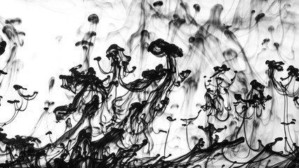 Obraz premium Black ink dropped into water on white background.