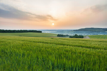 Fototapeta na wymiar Beautiful English Summer sunrise landscape image looking over rolling hills with mist in distance and hazy sun low in the sky