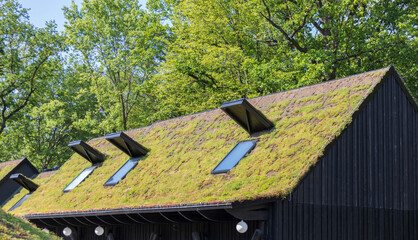 roof made of grass, ecological concept of nature and human harmony