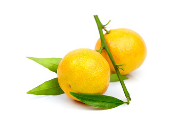 Tangerine fruits isolated on white. Fresh tangerine with green leaves