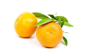 Tangerine fruits isolated on white. Fresh tangerine with green leaves