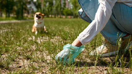 Woman collecting dog shit in waste bag in park