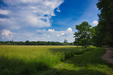 Wiese mit hohem Gras im Park Rosenthal, Leipzig, Sachsen, Deutschland