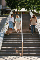 Man and women with dogs going down on staircase