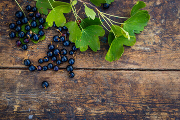 Black currant in a bowl isolated on a wooden background. Blackcurrant berries. Top view - obrazy, fototapety, plakaty