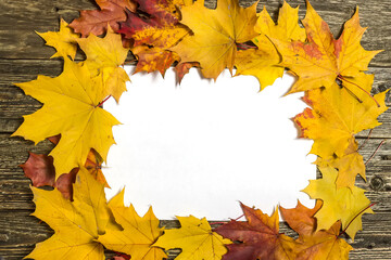 Frame of maple leaves on a wooden background