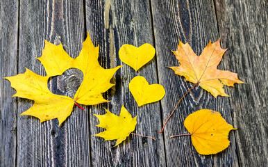 Naklejka na ściany i meble Hearts, autumn leaves and wooden background