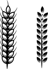 Fototapeta premium Two ears of wheat isolated on white. Vector illustration..eps