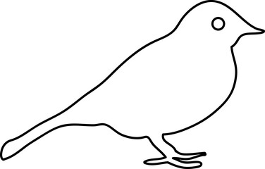 illustration of a pigeon