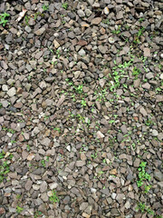 Gravel is often used as a mixture of building materials or to cover the surface of the yard of the house.