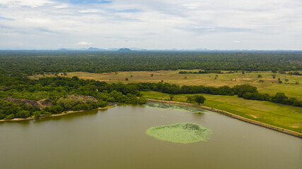 Lake Panama in the national park among the green jungle. Sri Lanka. Arugam bay.