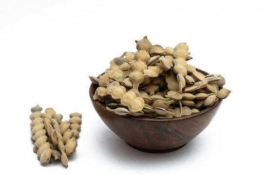 Babool Phali Or Acacia Arabica Or Kikar Phali Himalaya Natural Babool Phali Kikar Phali In Bowl