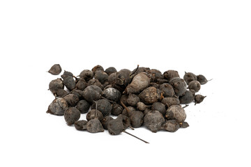 Goron tula fruit or snot apple on white background 