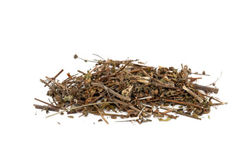 Shyam tulsi or leavesocimum tenuiflorum various shapes and forms of dry leaves set