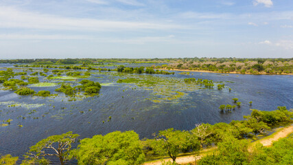 Lake with birds in the Kumana national park. Sri Lanka.