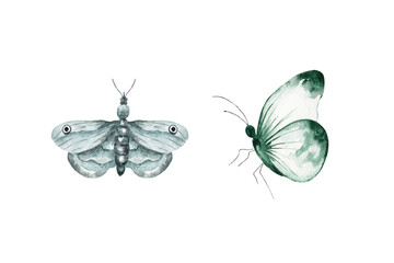 Set of colorful watercolor butterflies.Hand drawn illustration.