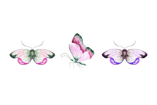 Set of colorful watercolor butterflies.Hand drawn illustration.