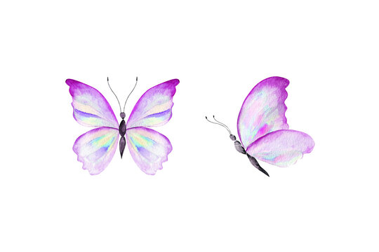 Set of colorful watercolor butterflies.Hand drawn illustration.