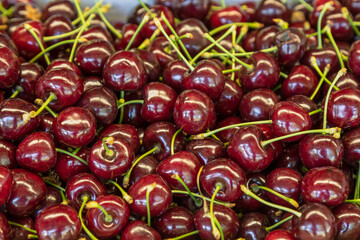 Background of ripe cherries with stems.