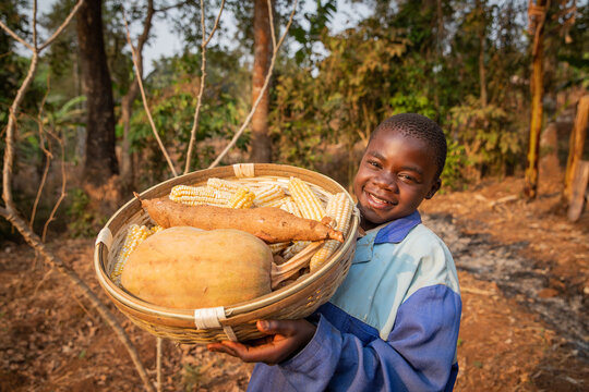 A child working in the fields with the basket of the harvest, happy African farmer.