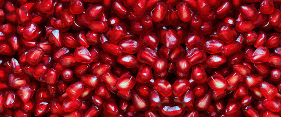 Banner of red Background of Grain Red Grenades. Big Ripe Red Granets or Garnets. Fruits of Red Ripe Pomegranate. Vegetarian Concept, Organic Vitamins. Organic and Benefit Garnet Fruit