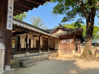 Obraz premium korea / korean traditional palace / garden /창덕궁 후원