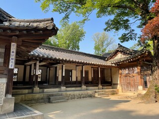 korea / korean traditional palace / garden /창덕궁 후원