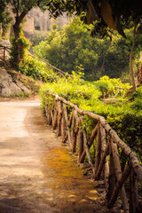 Archäologische antike Ausgrabungen in Syrakus auf Sizilien in Italien am Mittelmeer