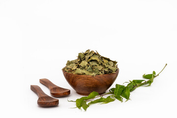 Ayurvedic neem or azadirachta indica or ayurveda dry green leaves isolated on white background