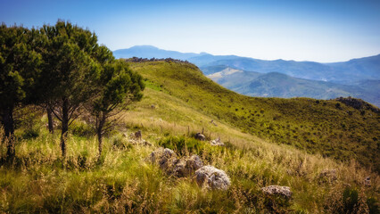 sicilian spring countryside hill landscape