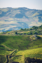 Sicilian Spring Countryside Hill Landscape