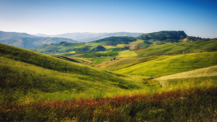 Obraz premium Sicilian Spring Countryside Hill Landscape