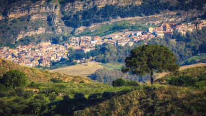 Fototapeta na wymiar Sicilian Spring Countryside Hill Landscape