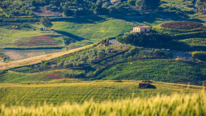 Sicilian Spring Countryside Hill Landscape