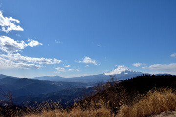 絶景の富士山をのぞむ高松山登山