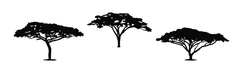 Isolated tree silhouettes on a white background