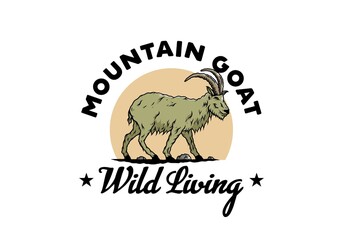 Hairy mountain goat with long horns