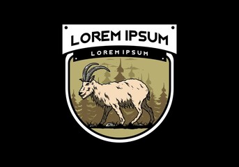 Hairy mountain goat with long horns