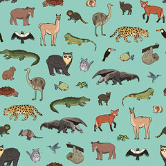 South America animals vector seamless pattern