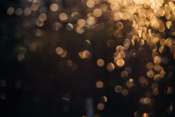 Abstract background. Bokeh of sun glare. Texture. The light from sunset or dawn passes through the...