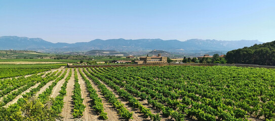  Valley with vineyard crops in La Rioja, Spain - obrazy, fototapety, plakaty