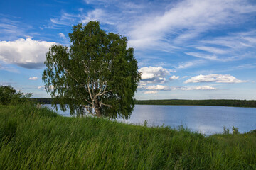 A picturesque summer landscape with a view of the lake, birch and the sky with clouds.