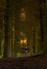 Growing old together