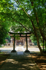 静かな神社の境内