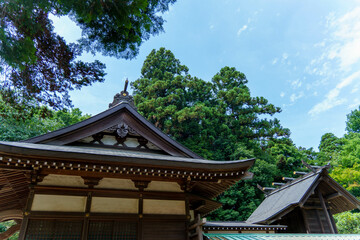 Fototapeta na wymiar 静かな神社の境内