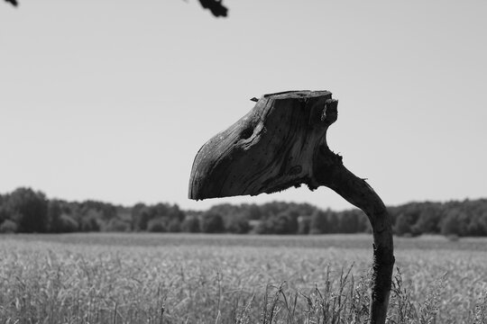 Urtier aus Holz