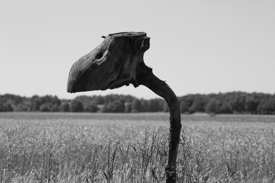 Urtier aus Holz