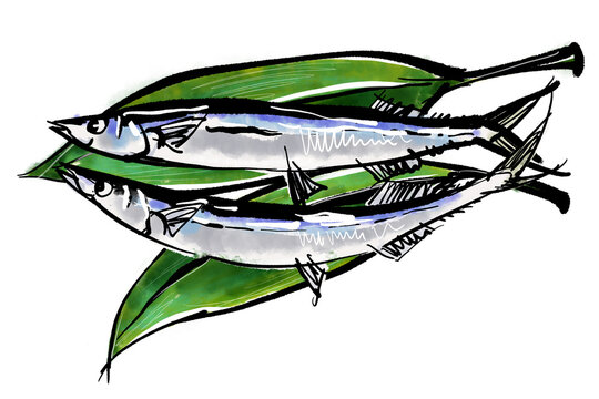 サンマのイラスト の画像 2 212 件の Stock 写真 ベクターおよびビデオ Adobe Stock