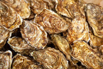 Texture de coquilles d'huîtres.