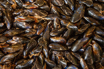 Texture coquilles de moules fraîches.